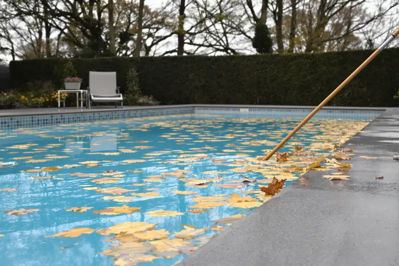 Feuilles mortes flottant sur une piscine en automne, perche d’épuisette posée sur la margelle